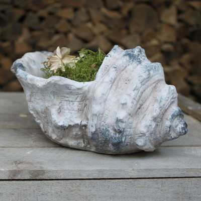 Zement Pflanzgef�� Schneckenhaus Muschel